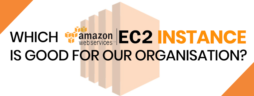 Which EC2 option is good for our organisation?