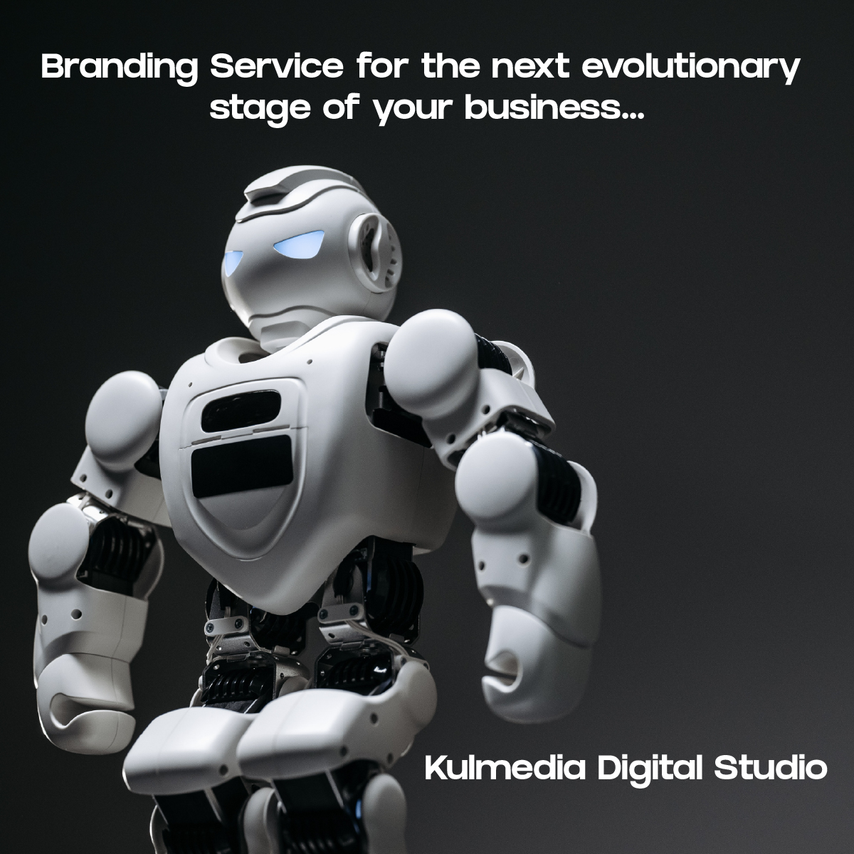 Branding Service by kui520 Digital Studio