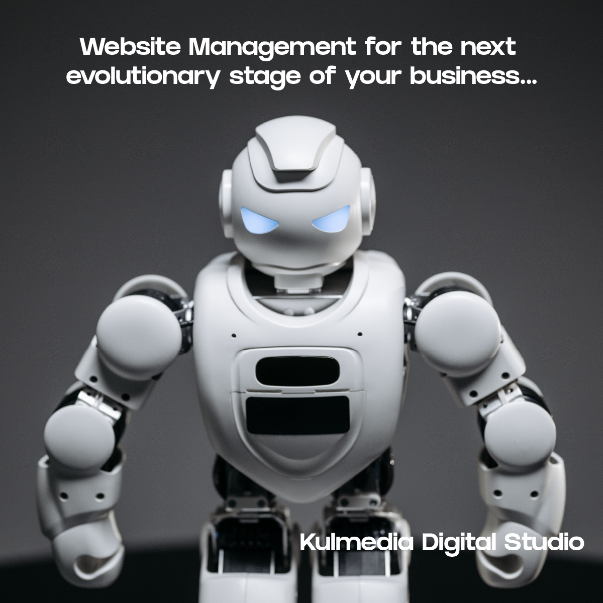 Website Management by kui520 Digital Studio