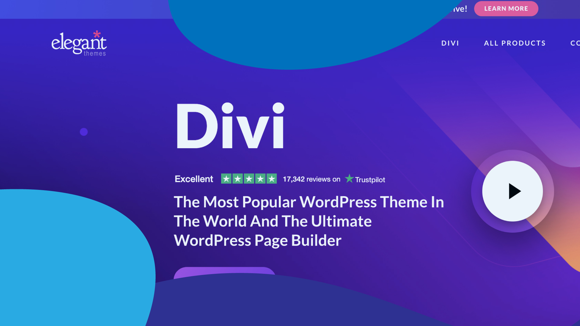 Divi Theme